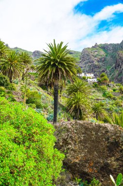 Tenerife, Kanarya adası / Tenerife dönüm noktası manzara geçit ve köy 