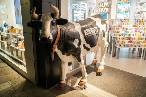 Puerto de la Cruz gece görünümü, Tenerife İspanya