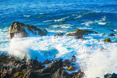 Tenerife'nin volkanik taşlarında okyanus dalgaları kırılıyor. Bir sürü sprey ve güzellik elementi. Tenerife, Kanarya Adaları, İspanya 