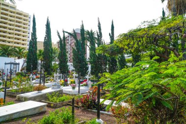 Tenerife Mezarlığı, Kanarya Adaları, İspanya