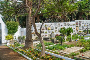 Tenerife Mezarlığı, Kanarya Adaları, İspanya