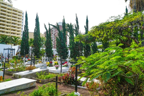 Cemitério Tenerife Ilhas Canárias Espanha — Fotografia de Stock