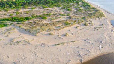 Riga deniz körfezine Gauja Nehri girişi, Carnikava kasabasının yanında, Letonya