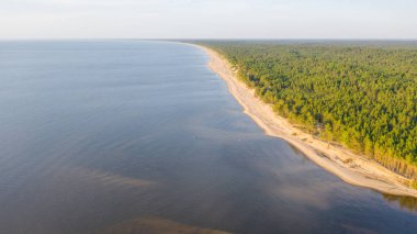 Riga deniz körfezine Gauja Nehri girişi, Carnikava kasabasının yanında, Letonya