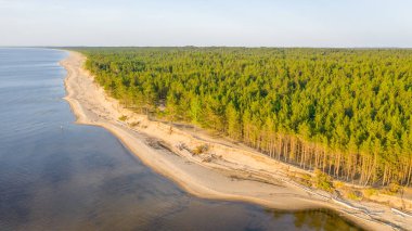 Riga deniz körfezine Gauja Nehri girişi, Carnikava kasabasının yanında, Letonya