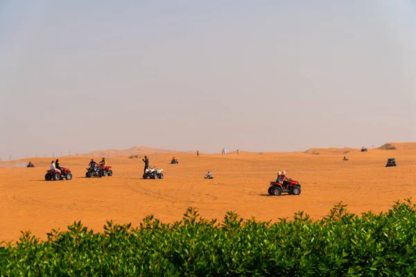Dört kiralama istasyonu Dubai yakınındaki çölde at binme. Birleşik Arap Emirlikleri, Orta Doğu