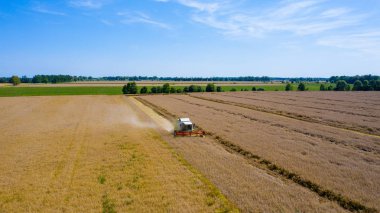 Hasat Makinesi Kesme Buğday, Bulutlar ile mavi gökyüzü altında sonsuz Alanlar Yaz Manzara birleştirin