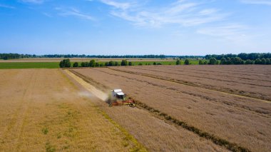 Hasat Makinesi Kesme Buğday, Bulutlar ile mavi gökyüzü altında sonsuz Alanlar Yaz Manzara birleştirin