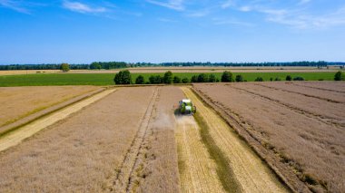 Hasat Makinesi Kesme Buğday, Bulutlar ile mavi gökyüzü altında sonsuz Alanlar Yaz Manzara birleştirin