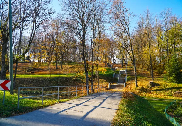 Sonbahar manzara güzel renkli güneş ışığında parlayan. harika pitoresk arka plan. doğada renk. muhteşem görünümü.
