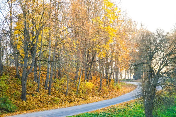 Herbstlandschaft Schön Farbig Leuchtend Sonnenlicht Wunderschöner Malerischer Hintergrund Farbe Der — Stockfoto