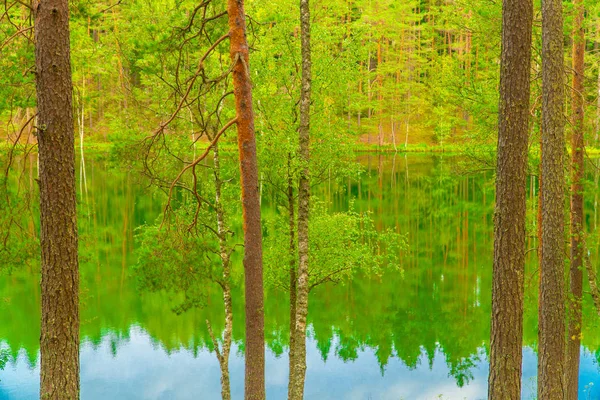The Devil\'s Lake, mysterious lake in middle of forest, forest and trees are reflected in the lake water, Aglona, Latvia