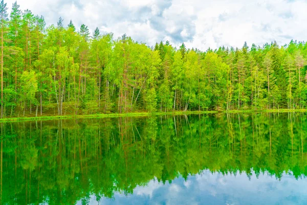 The Devil\'s Lake, mysterious lake in middle of forest, forest and trees are reflected in the lake water, Aglona, Latvia