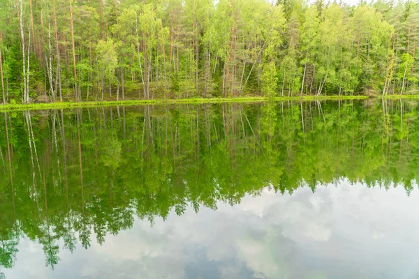 The Devil\'s Lake, mysterious lake in middle of forest, forest and trees are reflected in the lake water, Aglona, Latvia