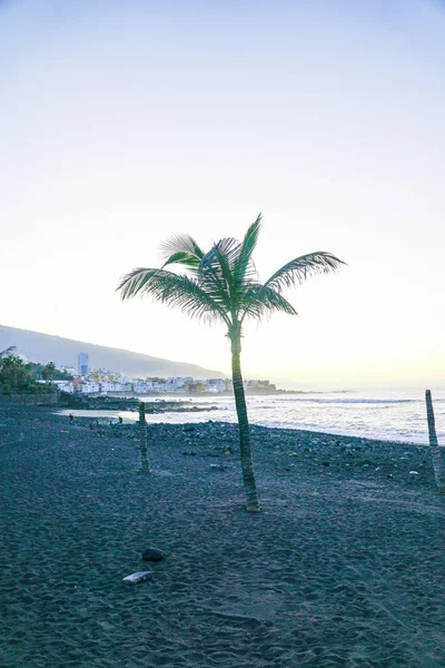 Tenerife Espanha Praia Famosa Playa Jardin Com Areia Preta Puerto — Fotografia de Stock