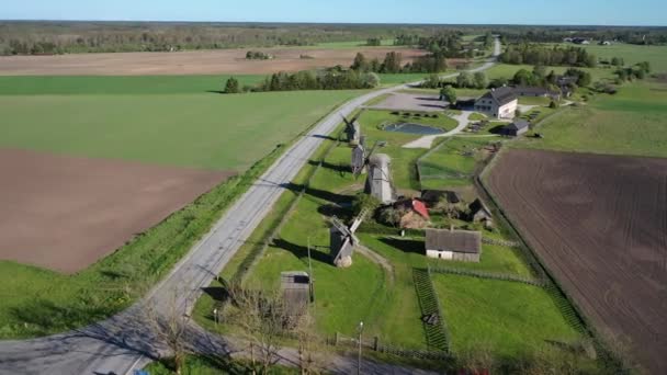 Belle vidéo aérienne panoramique 4K de drone volant aux champs d'été et aux moulins à vent Angla dans la paroisse de Leisi. Île de Saarema, Estonie. (séries))