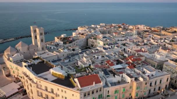 Piękne Panoramiczne Wideo Lotnicze Latającego Drona Nabrzeżu Molfetta Starą Katedrą — Wideo stockowe