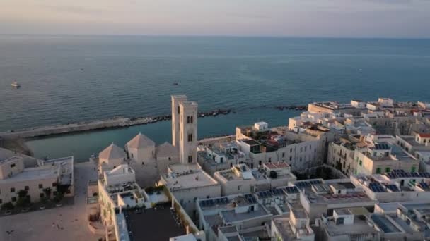 Piękne Panoramiczne Wideo Lotnicze Latającego Drona Nabrzeżu Molfetta Starą Katedrą — Wideo stockowe