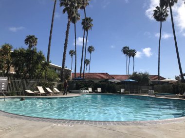 Havuz çevresinde palmiye ağaçları ile yüzme havuzu.