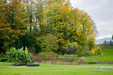 Zürih'te altın sezon, İsviçre