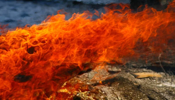 Heiße Flammen Die Wind Brennen Stockfoto