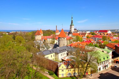 Yüksek bir yerden Tallinn 'in Eski Kasabası' na göz kamaştırıcı bir manzara. Güneş ışığındaki ev ve kulelerin kırmızı ve yeşil çatıları, arka plandaki denizin ufku..