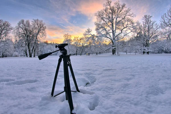 Nos Bastidores Uma Sessão Fotográfica Fotógrafo Paisagista Captura Pôr Sol — Fotografia de Stock