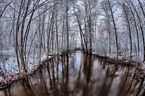Árvores Congeladas Ambos Lados Rio Escuro Mas Água Ainda Livre — Fotografia de Stock