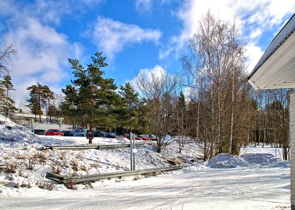 Apenas Uma Foto Colorida Primeiro Dia Ensolarado Após Inverno Frio — Fotografia de Stock