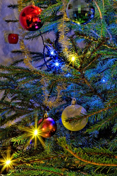 Luces Decorativas Azules Amarillas Árbol Navidad Verde Fresco Decorado Con — Foto de Stock