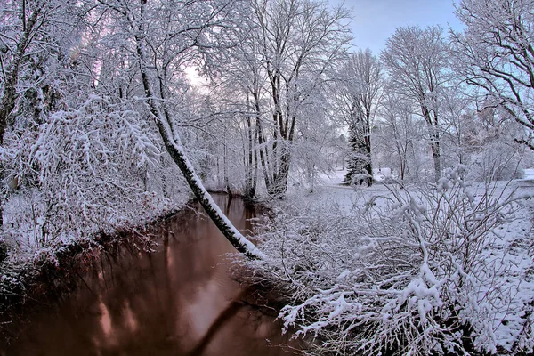 Zimowy Wieczór Parku Nad Rzeką Pierwszy Biały Śnieg Pokrywający Drzewa — Zdjęcie stockowe