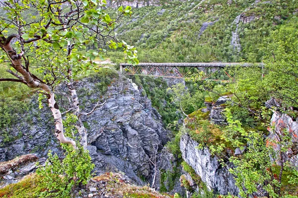 Bridge Crossing Deep Canyon River Bottom Fjords Norway Small Tree — Stock Photo, Image