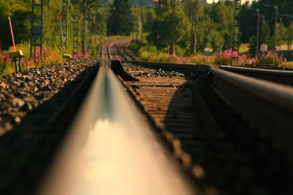 Lege Spoorweg Vanuit Laag Perspectief — Stockfoto