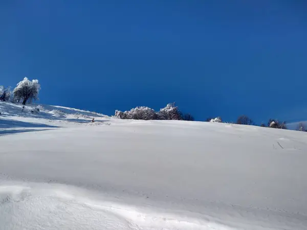 Paisaje Invierno Pueblo Parva Rumana Transilvania Ramas Arbol Cargados Con — Stockfoto