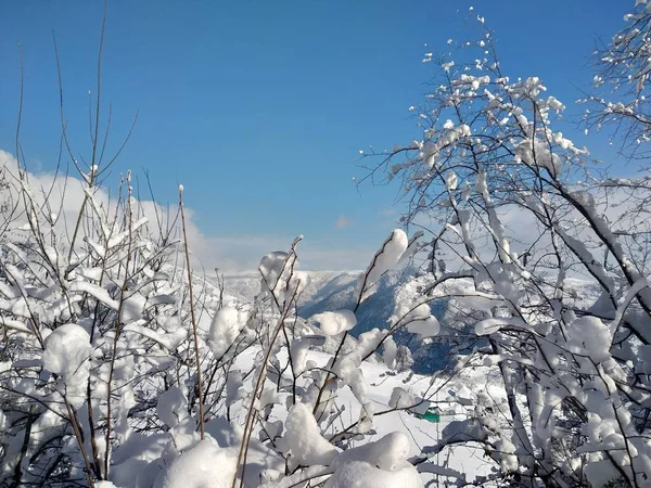 Paisaje de invierno en pueblo de Parva, Rumana Transilvania ramas de arbol cargados con nieve.  montanias de los Carpatos cubierto de nieve 
