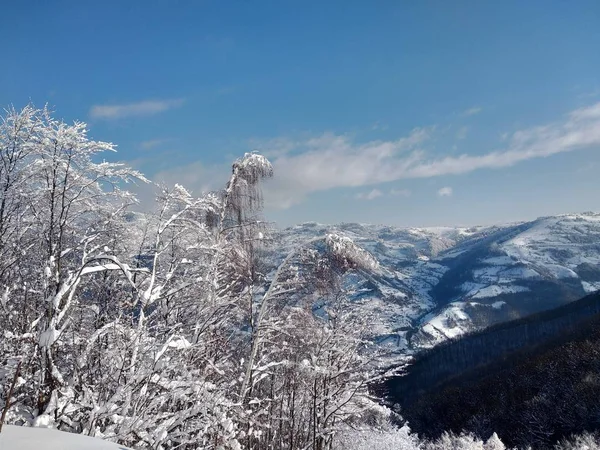 Paisaje de invierno con montaas y nieve en Rumania, pueblo de Parva, Transilvania