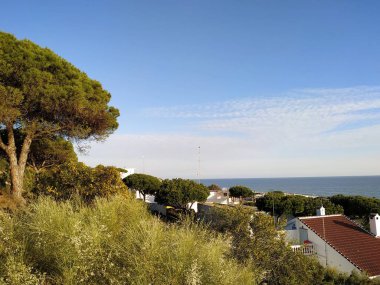 Vista del mar, pinos y casas en Mazagon provincia de Huelva  