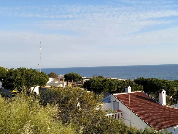 Vista Del Mar Pinos Casas Mazagon Provincia Huelva — Stockfoto