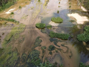 Rio con agua y vegetacin en Rociana del Condado Espana