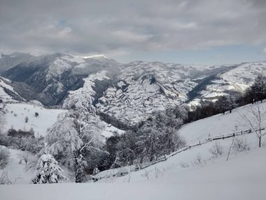  Trees and snow-laden mountains village of Parva, Romania, Transylvania. Winter landscape