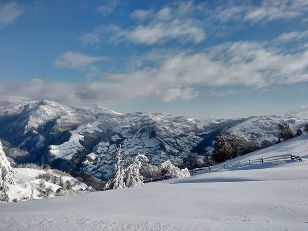 Арболи Монтес Карґадо Нієві Pueblo Парва Ругана Трансильванія Paisaje Invierno — стокове фото