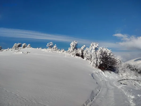 Arboles Montes Cargado Nieve Pueblo Parva Rumana Transilvania Paisaje Invierno — Stock fotografie