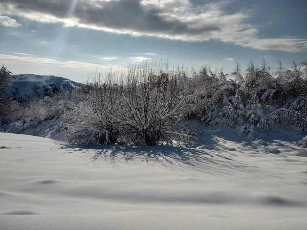 Arboles Montes Cargado Nieve Pueblo Parva Rumana Transilvania Paisaje Invierno — Zdjęcie stockowe