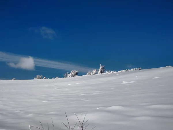 Arboles y montes cargado de nieve pueblo de Parva, Rumana, Transilvania. Paisaje de invierno