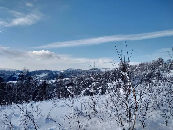 Arboles Montes Cargado Nieve Pueblo Parva Rumana Transilvânia Paisaje Invierno — Fotografia de Stock