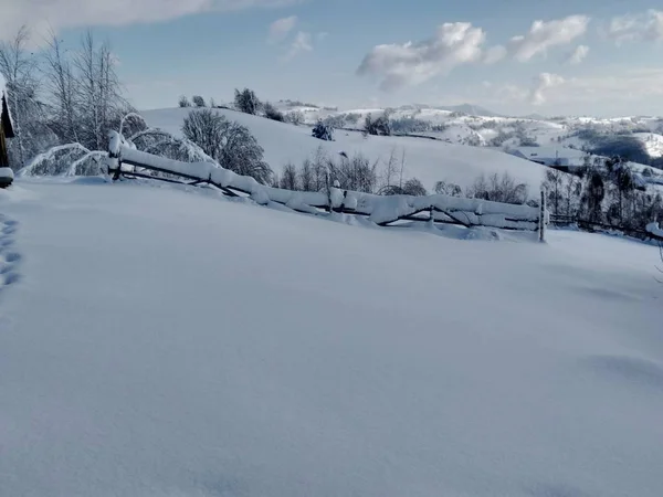 Arboles Montes Cargado Nieve Pueblo Parva Rumana Transilvania Paisaje Invierno — Zdjęcie stockowe