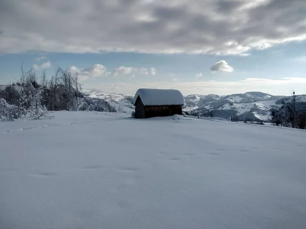 Arboles Montes Cargado Nieve Pueblo Parva Rumana Transilvania Paisaje Invierno — Stockfoto