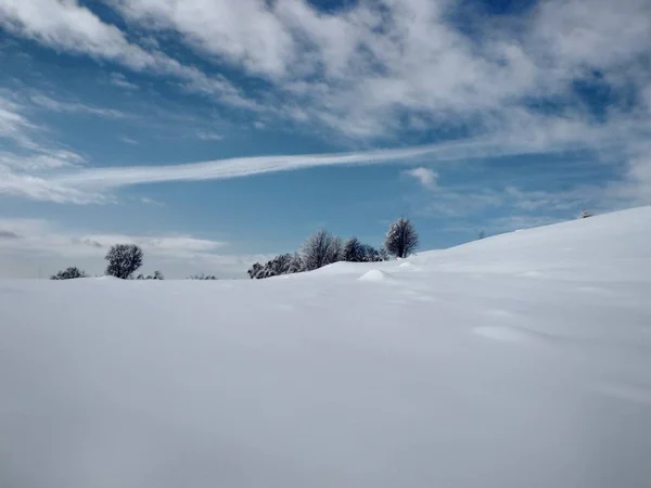 Arboles Montes Cargado Sde Nieve Pueblo Parva Rumana Transilvania Paisaje —  Fotos de Stock