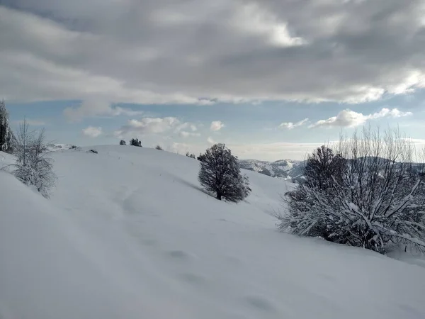 Arboles Montes Cargado Nieve Pueblo Parva Rumana Transilvania Paisaje Invierno — Foto Stock