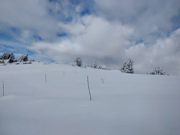 Арболи Монтес Карґадо Нієві Pueblo Парва Ругана Трансильванія Paisaje Invierno — стокове фото